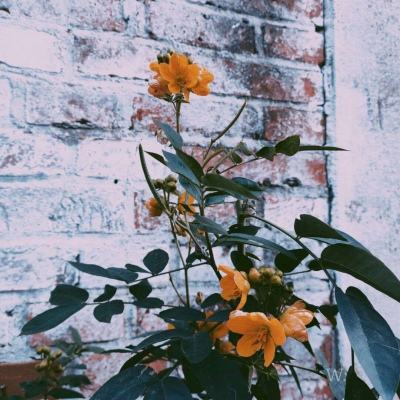 博鱼综合体育官网登录